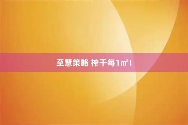 至慧策略 榨干每1㎡！